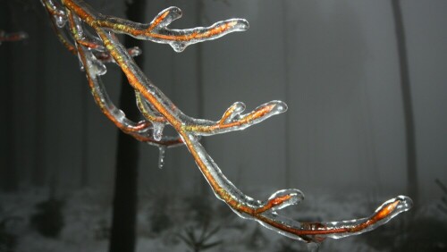 Eisregen und Nebel verwandeln die Landschaft

Aufnameort: Neunkircher-Höhe / Odenwald
Kamera: Canon 450 D