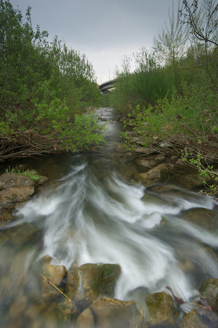 Der Wienfluss, der Fluss der den selben Namen trägt wie die Hauptstadt Österreichs. Ein überraschendes Gebiet mitten in der Stadt.

Aufnameort: Wien
