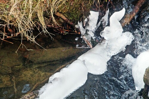 Äste und Zweige können im Winter - besonders auch in der Nähe von Wasser und hoher Luftfeuchtigkeit - bei Temperaturen unter dem Gefrierpunkt leicht gefrieren.
https://de.wikipedia.org/wiki/Eis

Aufnameort: Eiershausen "Schwarze Bach" südlich des Sportplatzes Eiershausen
Kamera: Canon EOS 1300D