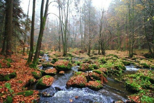 sehr urige Landschaft im Naturschutzgebiet "Hölle" bei Brennberg in der Oberpfalz

Aufnameort: Brennberg
Kamera: Canon EOS 60 D