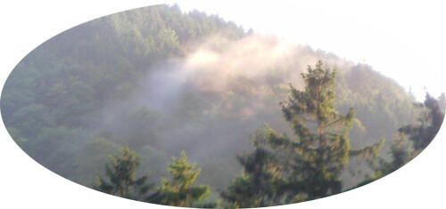 Bei hoher Luftfeuchtigkeit kann die Luft weniger Wasser binden und es bilden sich ggf. Kondenströpfchen.
http://de.wikipedia.org/wiki/Wolkenbildung

Aufnameort: Eiershausen Schwarzbachtal
Kamera: Medion Digitaler Full-HD-Camcorder mit Touchscreen Medion Life