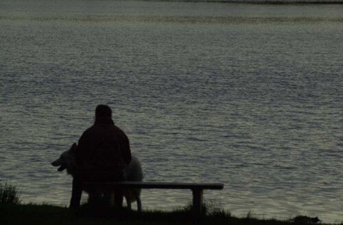 Dieser Mann genießt die abendliche Ruhe und Stille gemeinsam mit seinem Hund am Bullensee nahe Rotenburg / Wümme.

Aufnameort: Rotenburg / Wümme
Kamera: Nikon D1