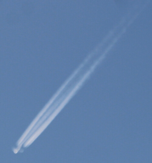 Kondensstreifen werden fachlich als Homomutatus bezeichnet, da es sich um dünne, langgestreckte, künstlich erzeugte Wolken aus Wasserdampf und sonstigen Abgasen infolge einer Luftfahrt handelt.
https://de.wikipedia.org/wiki/Kondensstreifen

Aufnameort: Eiershausen
Kamera: Canon EOS 1300D