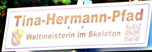 Offensichtliche Begeisterung für Bobschlittenfahrten
https://de.wikipedia.org/wiki/Skeleton_(Sportart)

Aufnameort: 35713/Hirzenhain
Kamera: Medion Camcorder