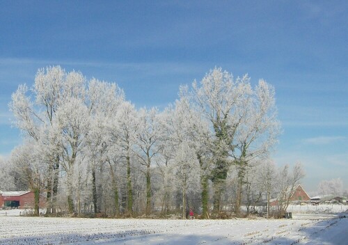 Traumhaft blauer Himmel und gefrorene Bäume

Aufnameort: Stadtlohn
Kamera: AL 530 zoom Kamera