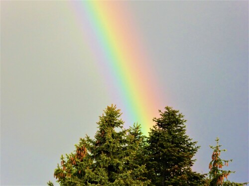 Regenbogen über Lichtenau - tolle Farben - tolles Licht

Aufnameort: Lichtenau / Mfr.
Kamera: Panasonic Lumix TZ61