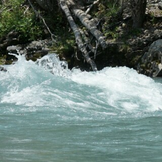 rheinwelle-30050