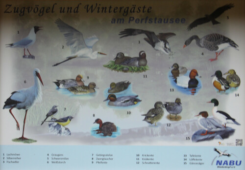 schautafel-am-perfstausee-zur-wasservogelwelt-18282.jpeg