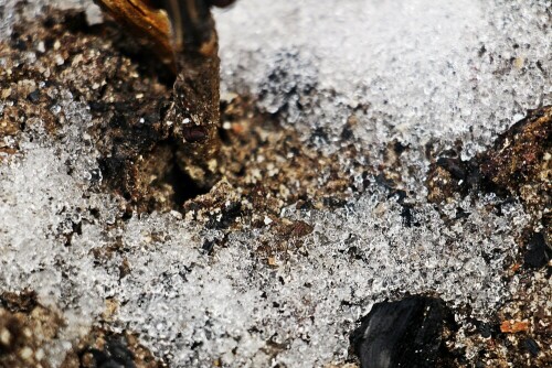 Schnee besteht aus Eiskristalle. Bei Sonne erwärmen deren Strahlen den Schnee, sodass dieser auch beginnt zu schmelzen.
https://de.wikipedia.org/wiki/Schnee

Aufnameort: Eiershausen Garten
Kamera: Canon EOS 1300D