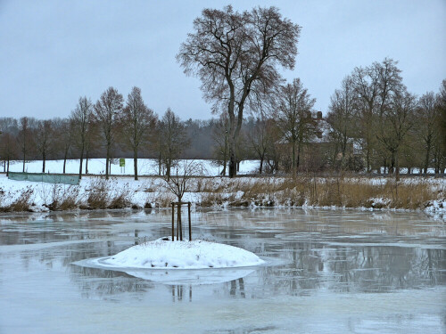 schneeinsel-im-weiher-in-triesdorf-13359.jpeg