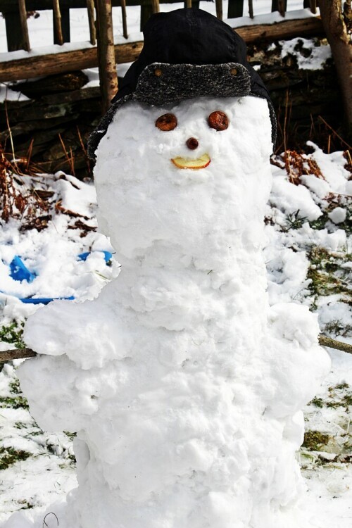 Schneemänner bzw. -frauen werden von Kindern oder Jugendlichen, manchmal auch von Erwachsenen als Ausdruck der Winterfreuden
"gebaut."
https://de.wikipedia.org/wiki/Schneemann

Aufnameort: Eiershausen Garten
Kamera: Canon EOS 1300D