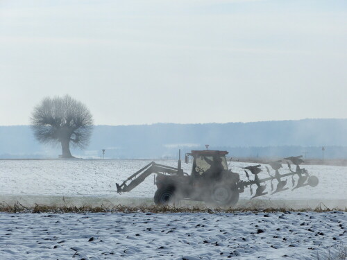 schneepflug-13463.jpeg