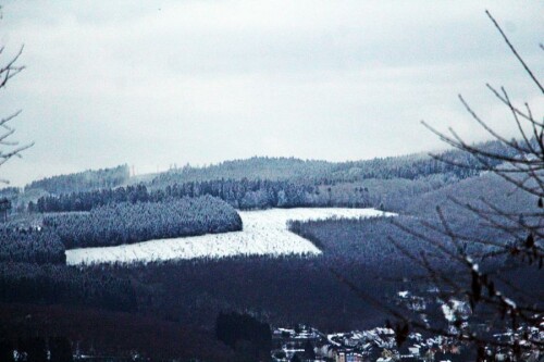 schneerest-auf-dem-eibertshain-januar-2018-19999.jpeg