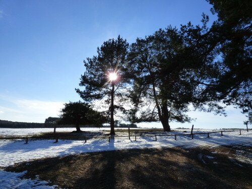 Winter in der Schorfheide


