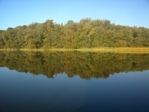 see-in-der-muritzer-seenlandschaft-6139.jpeg