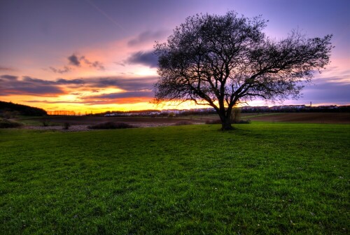 Landschaftausnahme mit Sonnenuntergang im Hintergrund und als gestalterischem Mittel der Baum im Vordergrund.

Aufnameort: nahe Böblingen
Kamera: Sony Alpha 200