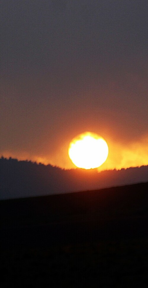 sonne-am-abend-im-dietzholztal-november-2017-19790.jpeg