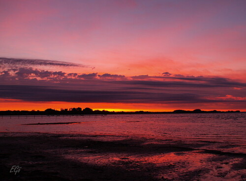 

Aufnameort: Ostsee
Kamera: Olympus