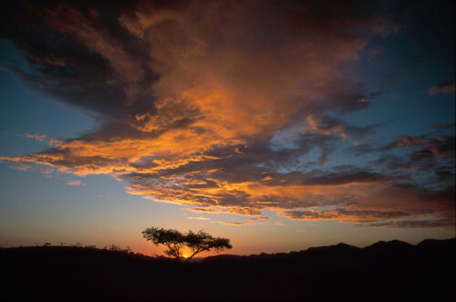 Untergehende Sonne über der Namib-Wüste in Namibia

Aufnameort: Farm Hakos / Namibia
