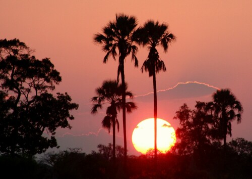 Am Ende einer Bootsfahrt auf dem Okavango-Delta ließ dieser Sonnenuntergang den Tag ausklingen.

Aufnameort: Okavango-Delta - Botswana
Kamera: 450D