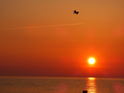 sonnenuntergang-an-der-ostsee-15908.jpeg