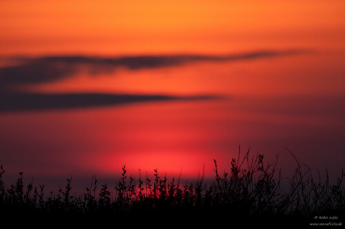 sonnenuntergang-auf-texel-nl-5934.jpeg