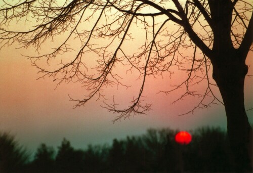 sonnenuntergang-beim-einsiedel-342.jpeg