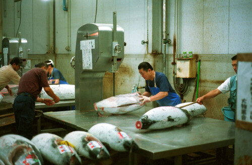 Arbeiter auf dem Tsukiji-Fischmarkt in Tokyo

Aufnameort: Tokyo, Japan
