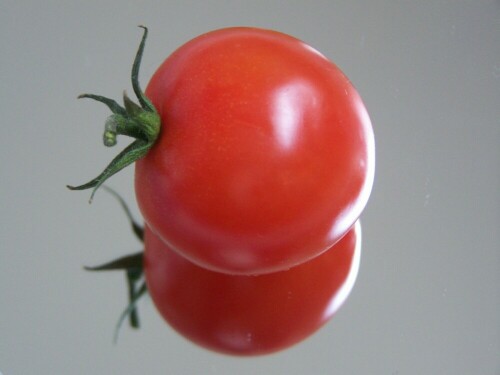 tomate-solanum-lycopersicum-5265.jpeg