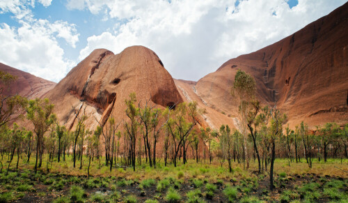 Verbrannte Erde, verkohlte Baumstämme und grünes Gras am Fuße des Uluru

Aufnameort: Australien
Kamera: EOS 5D Mark III