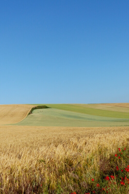 und-uber-allem-das-blau-des-himmels-16072.jpeg