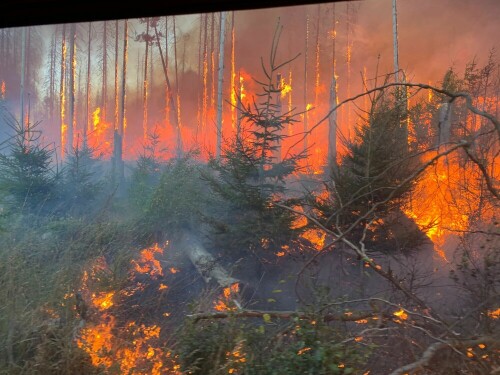 Ein Waldbrand kann auch bei sehr großer Sommerhitze entstehen.
https://de.wikipedia.org/wiki/Waldbrand
Meldungen hierzu:
https://www.ekoru.org/?target=all&q=Waldbrand+gestern+nordwestlich+von+Dillenburg%3F

Aufnameort: Oberroß- bzw. Niederroßbach(Bekannte einer Freundin unserer Jungens haben es uns zugeschickt.)
