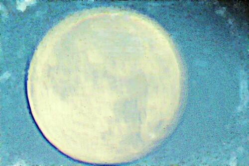 vollmond-am-morgen-des-13-08-2022-29235.jpeg