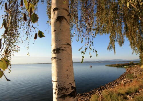 Beim Morgenspaziergang am Stausee in Nysa/Polen

Aufnameort: Nysa/Polen
Kamera: Canon 450D