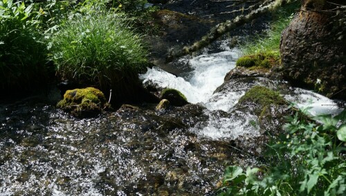 

Aufnameort: Arosa Schweiz
Kamera: Sony Alpha 7/II