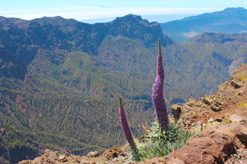 

Aufnameort: La Palma, Roque de los muchachos
Kamera: Canon Eos 600D