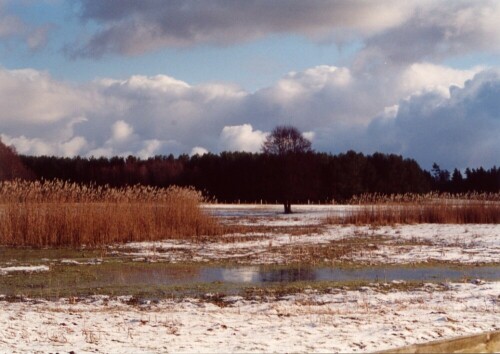 

Aufnameort: Wildpark Schorfheide
Kamera: EOS 300