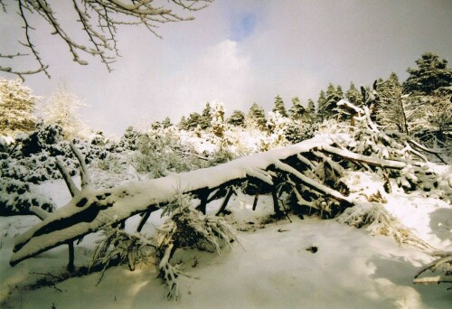 winterdrachen-der-eifel-5703.jpeg