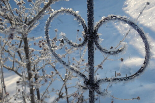 Winterimpression zum Valentinstag

Aufnameort: In meinem Garten
Kamera: Sony T100