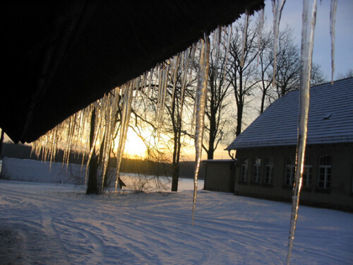 Die Kombination aus warmer Mittagssonne und Minusgraden am Rest des Tages ließ über längere Zeit diese schöne Eiszapfenkette am Reetdach entstehen. Kombiniert mit dem noch weißen Schnee und der aufgehenden Sonne zeigt sich eine wunderschöne Winterlandschaft, wie man sie in der Stadt nicht zu sehen bekommt. Kein Wunder, dass das Institutsgelände öfter als Kulisse für Filmaufnahmen dient.

Aufnameort: Institut für Binnenfischerei Potsdam
Kamera: Canon PowerShot A610