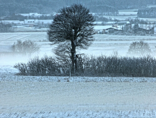 

Aufnameort: Weidenbach Mittelfranken
Kamera: Panasonic Lumix FZ150