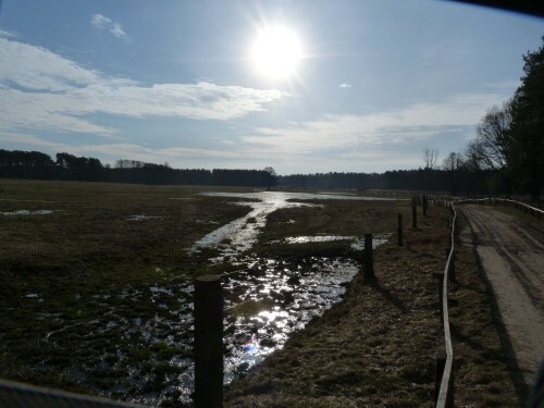 winterlandschaft-in-der-schorfheide-5607.jpeg