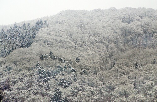 Winterlicher Wald wird auch im Zusammenhang mit Schnee häufig sich vorgestellt.
Z. B. :
http://www.christliche-gedichte.de/?pg=10143


Aufnameort: Frohnhausen im Südosten
Kamera: Canon EOS 1300D