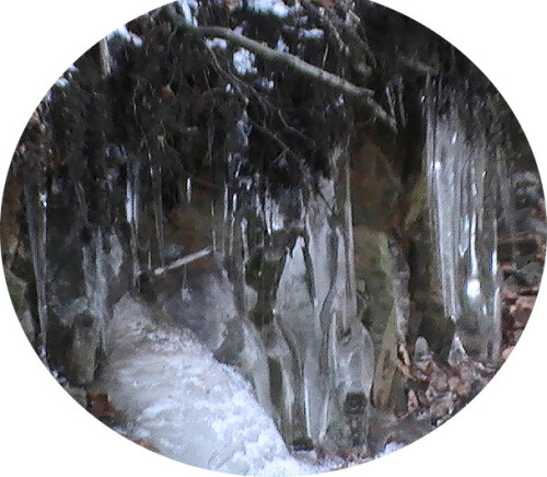 Bei tiefen Temperaturen kann das Sickerwasser auch im Waldboden gefrieren.

Aufnameort: Eiershausen Schwarzbachtal
Kamera: Medion Digitaler Full-HD-Camcorder mit Touchscreen Medion Life