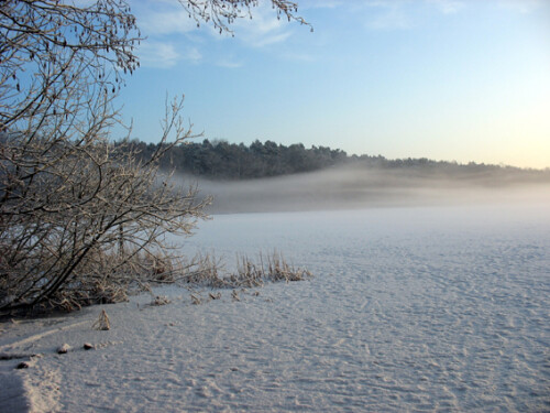 Der Sacrower See war zugefroren und zusätzlich mit einer Schneedecke bedeckt. An diesem klaren Morgen verzogen sich gerade die letzten Nebelschleier, bevor die Sonne die Oberhand gewann.

Aufnameort: Königswald bei Potsdam
Kamera: Canon PowerShot A610