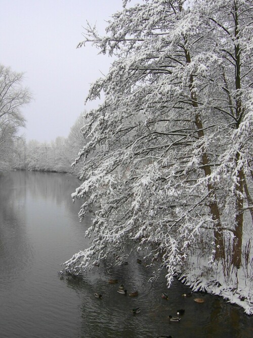 Die Berkel im Winter

Aufnameort: Stadtlohn
Kamera: AL 530 zoom Kamera