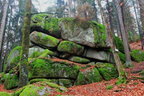 sehr interessante Gesteinsformation, sog. Wollsackverwitterung im Naturschutzgebiet "Hölle" bei Brennberg in der Oberpfalz

Aufnameort: Brennberg
Kamera: Canon EOS 60 D