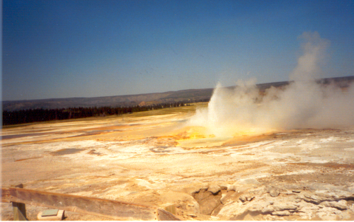 

Aufnameort: Yellowstone National Park
Kamera: w.ratti