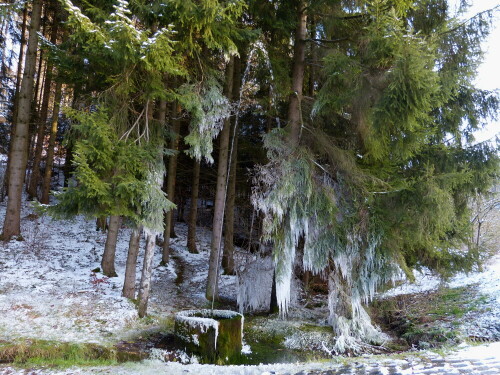 Vereister Wald beim Spritzbrunnen bei Bammersdorf

Aufnameort: bei Bammersdorf
Kamera: Panasonic Lumix 150