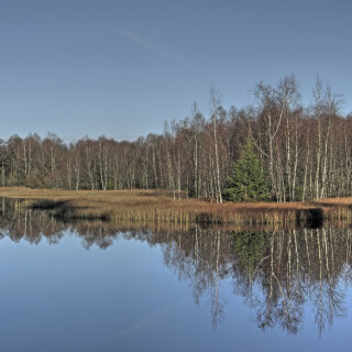 Rotes-Moor_20231121_0001_HDR_Web